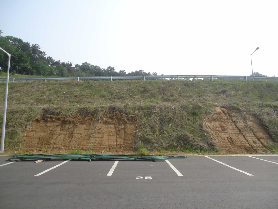 (네일 설치전)_DSC08355.JPG