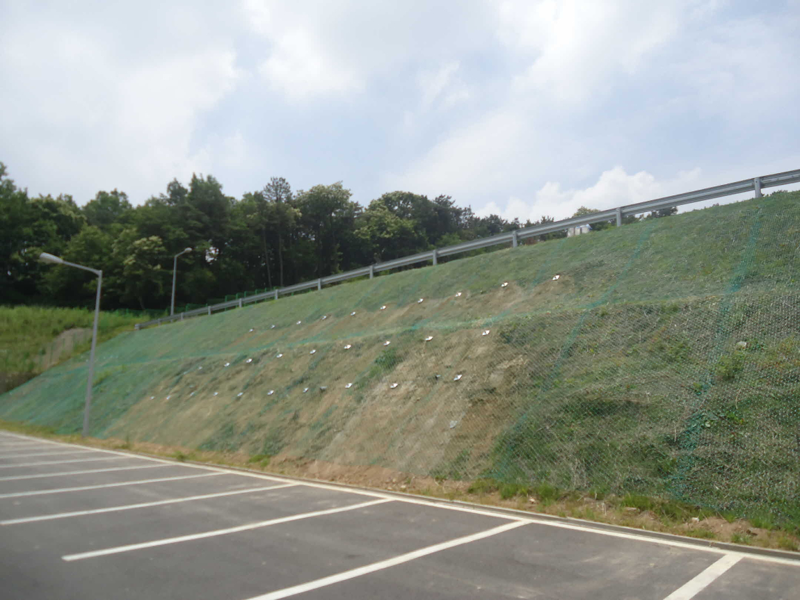 (녹생토 전)_DSC08703.JPG